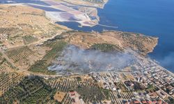 Dikili'de korkutan yangın: Müdahale devam ediyor