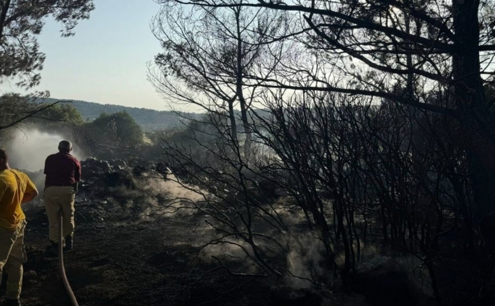 Urla’daki orman yangınına neden olan şahıs tutuklandı